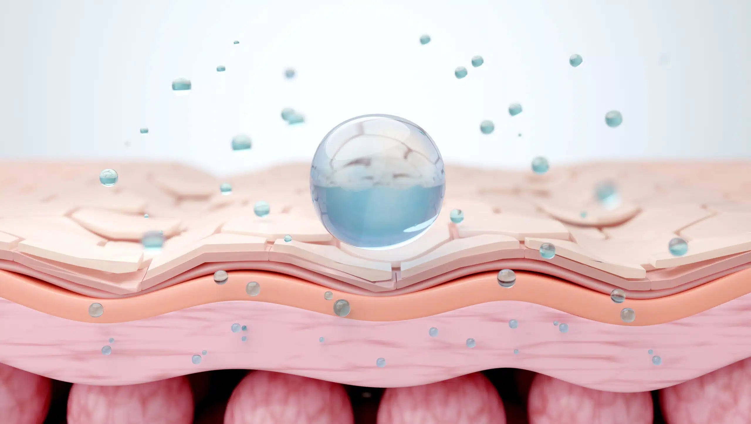 The Ultimate Guide to Dermal Fillers, Skin Boosters and Fat Dissolvers